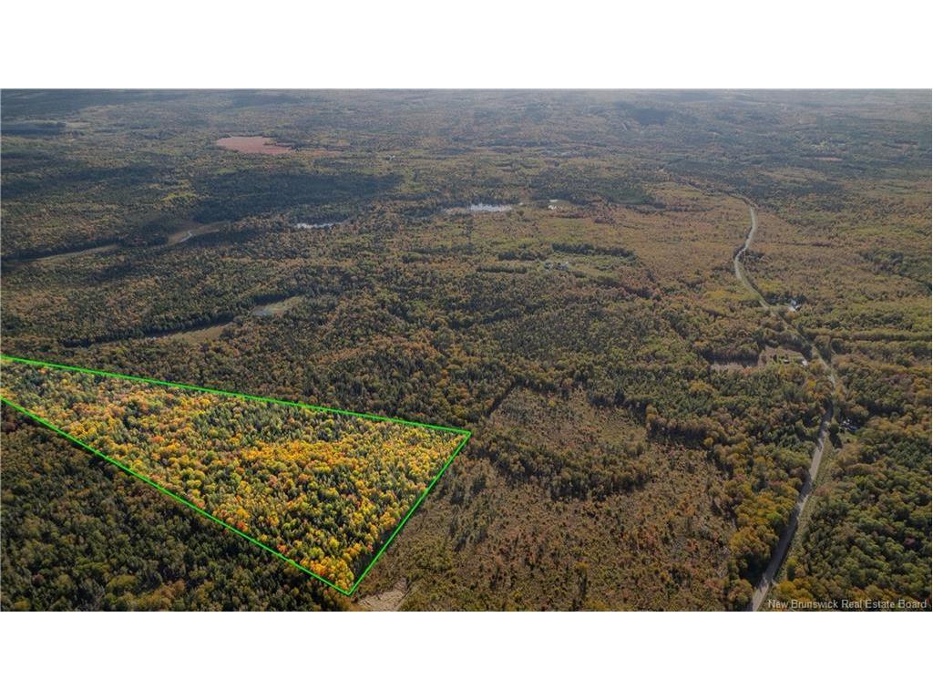 Lot Clatter Rd, Rollingdam, NB
