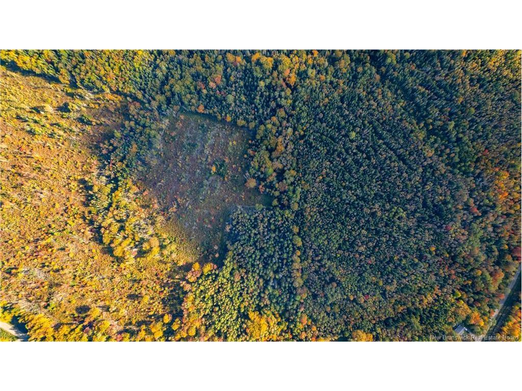 Lot Clatter Rd, Rollingdam, NB