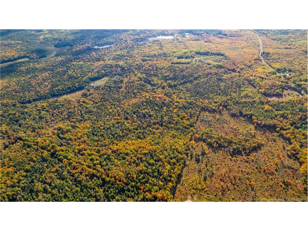Lot Clatter Rd, Rollingdam, NB
