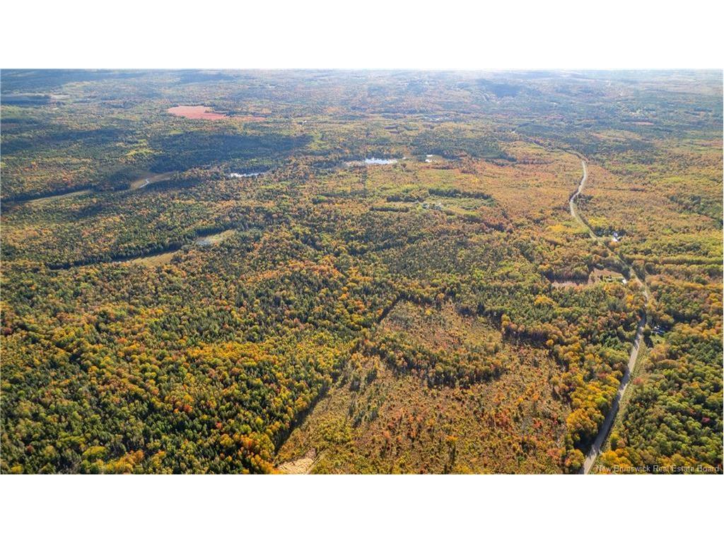 Lot Clatter Rd, Rollingdam, NB