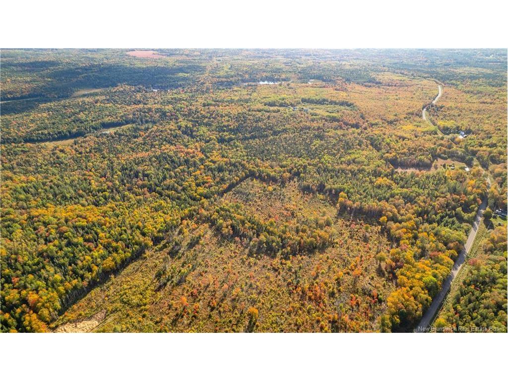 Lot Clatter Rd, Rollingdam, NB