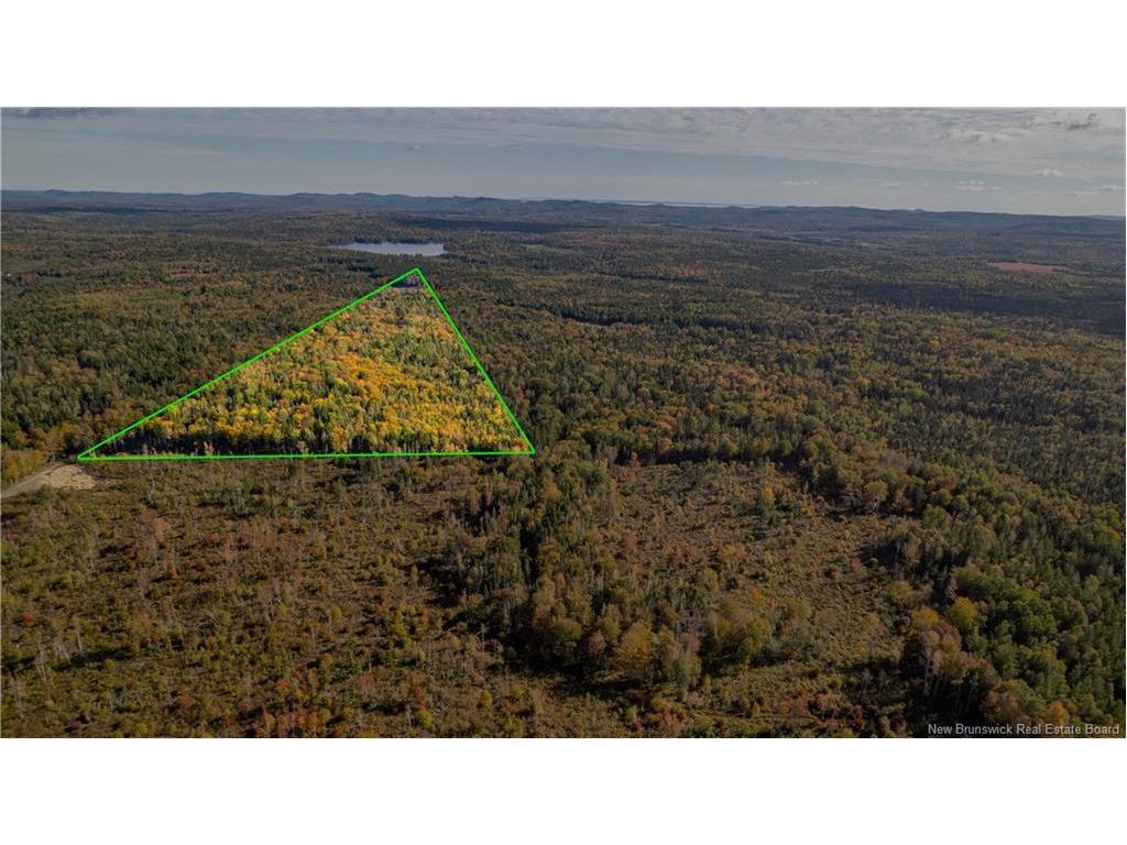 Lot Clatter Rd, Rollingdam, NB