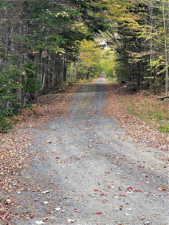 Lot Clatter Rd, Rollingdam, NB