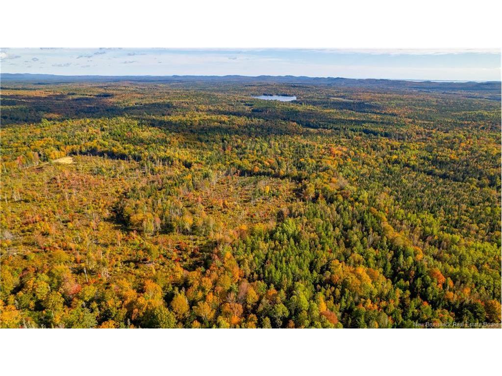 Lot Clatter Rd, Rollingdam, NB