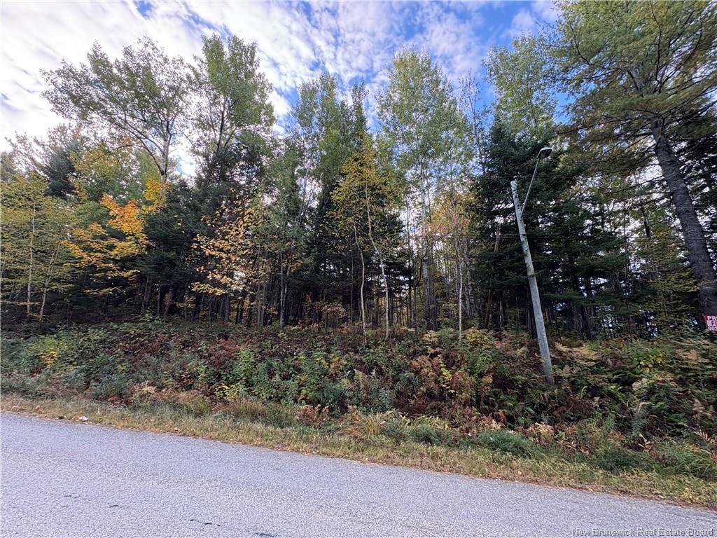 1.5 Acres Boom Rd, Boom Road, NB