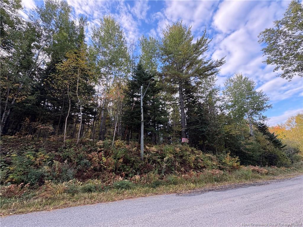 1.5 Acres Boom Rd, Boom Road, NB