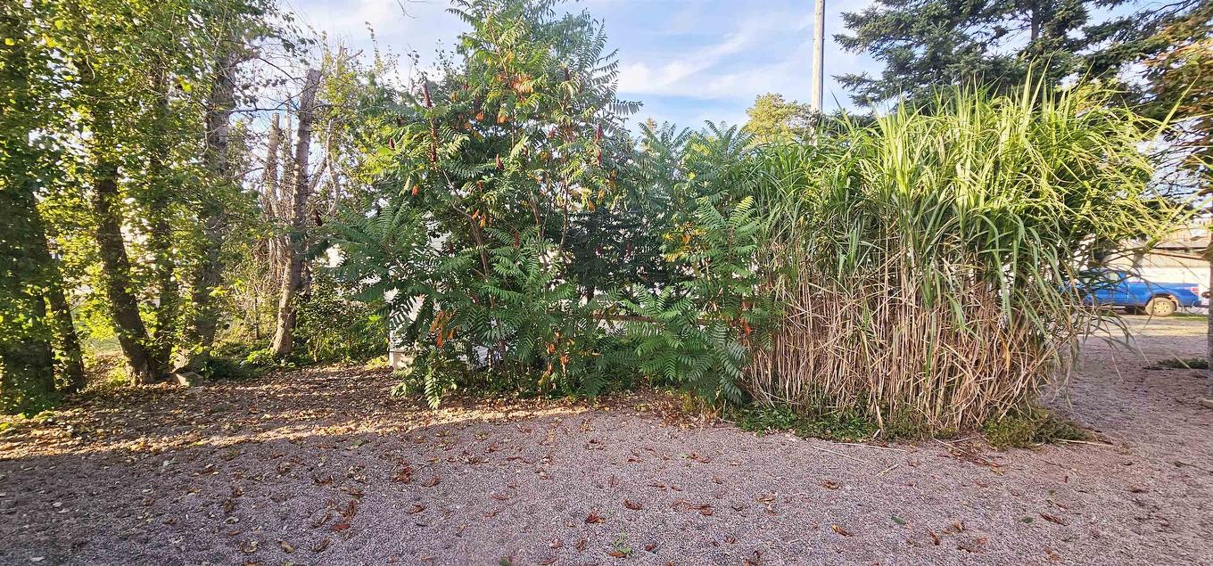 197 Main Street, Mount Stewart, PE