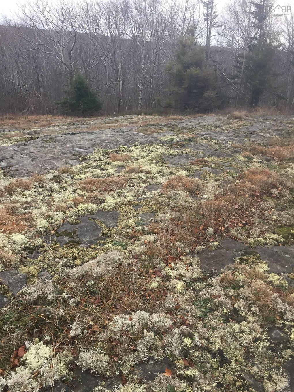 1762 Culloden Road, Culloden, NS