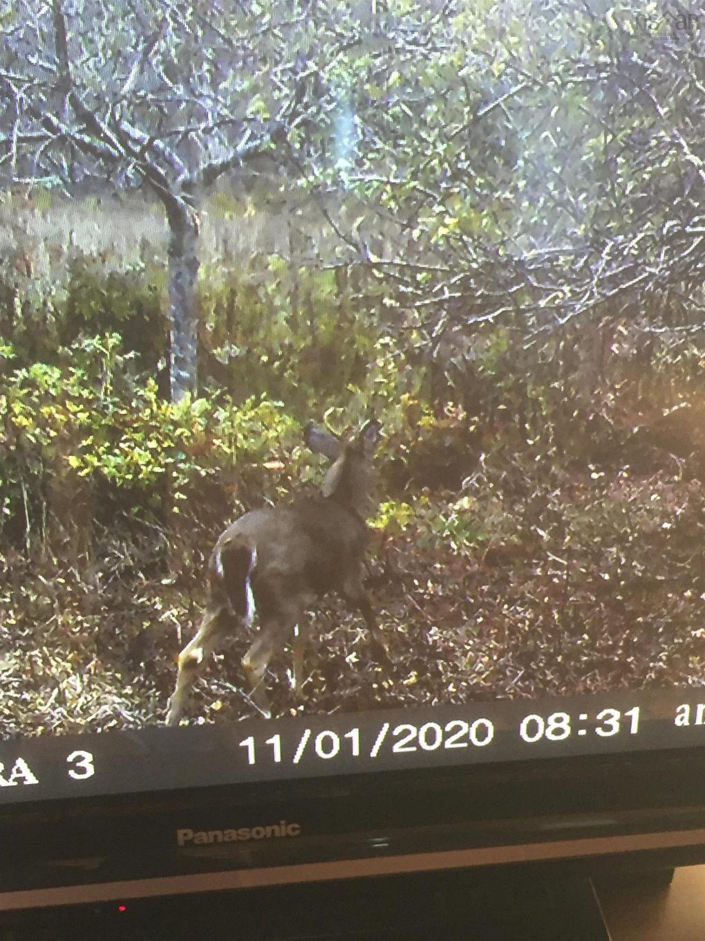 1762 Culloden Road, Culloden, NS