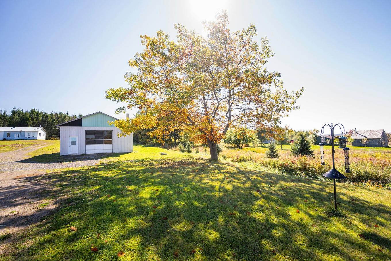 Backyard - 200 Rg Lafontaine, Sainte-Perpétue, QC - Outdoor