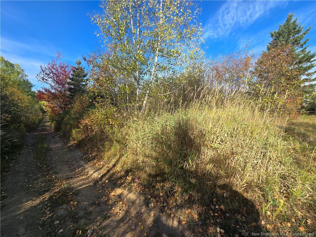 14.97 Acres Chemin Saulnier Ouest, Canton Des Basques, NB