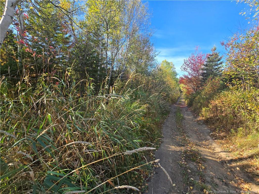 14.97 Acres Chemin Saulnier Ouest, Canton Des Basques, NB