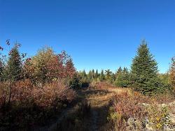 91 Midland RD Mechanic Settlement, NB E4E 4K4