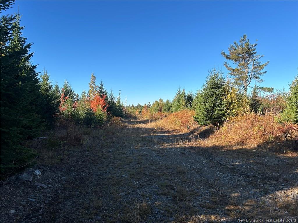 91 Midland Rd, Mechanic Settlement, NB