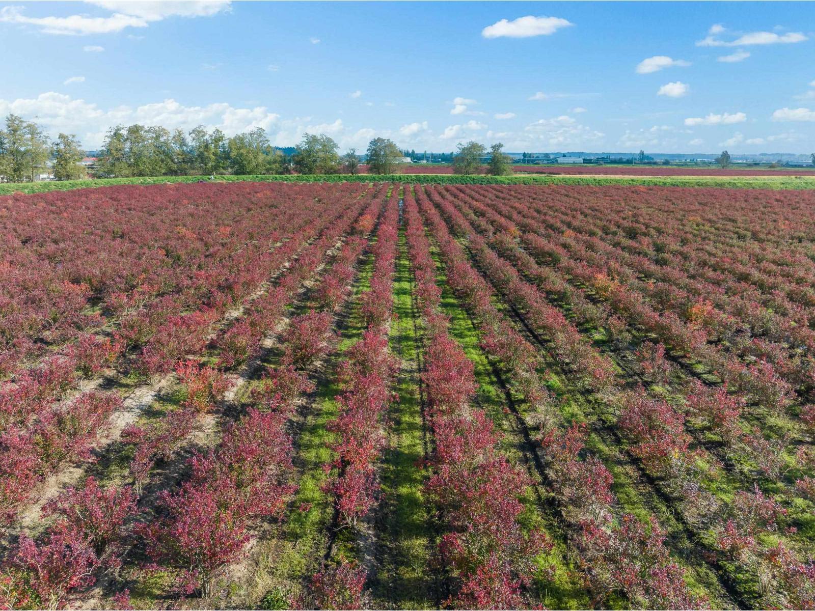 15627 48 Avenue, Surrey, BC