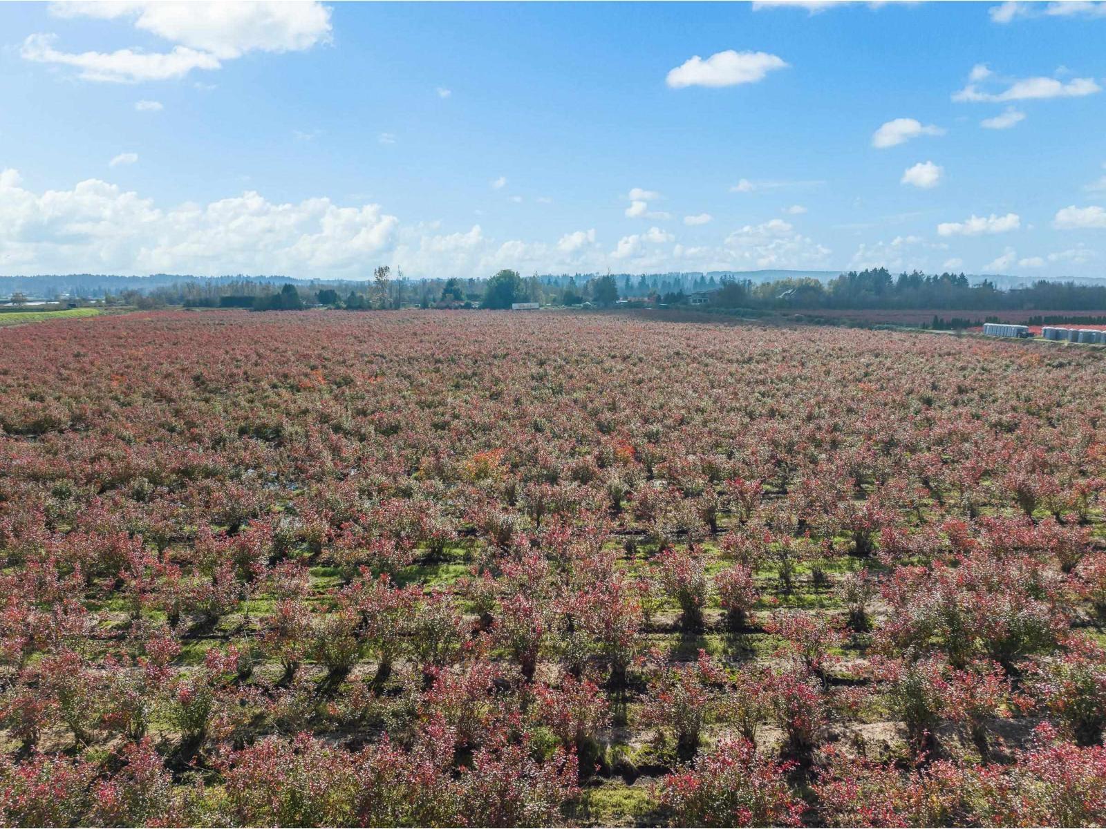 15627 48 Avenue, Surrey, BC