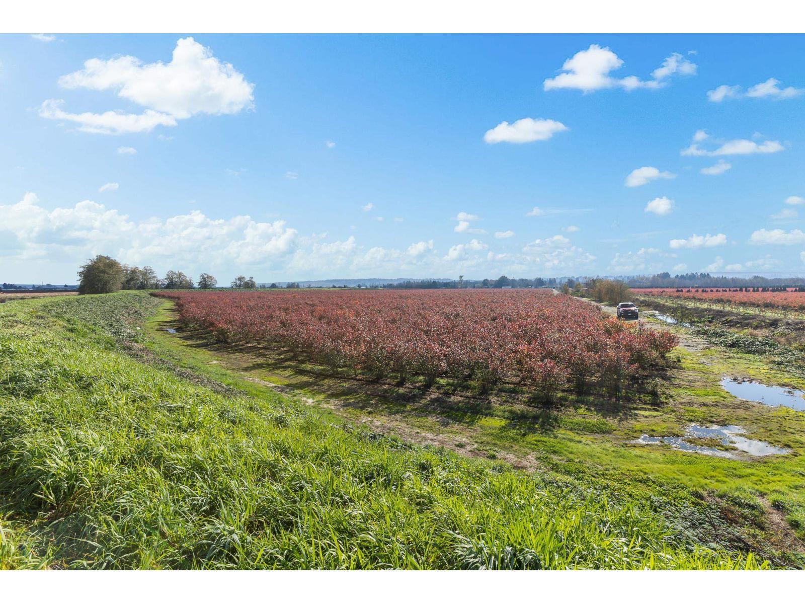 15627 48 Avenue, Surrey, BC