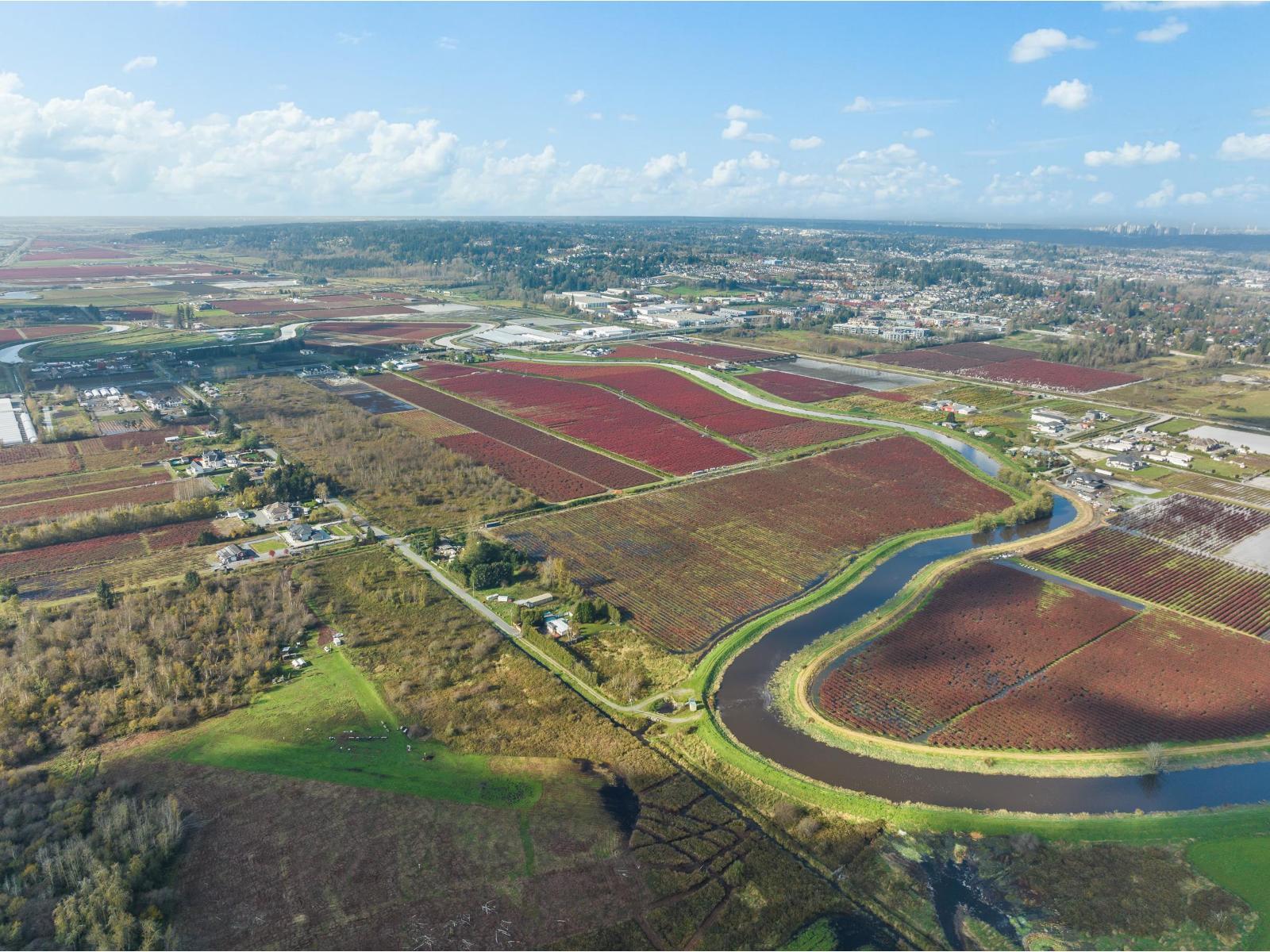 15627 48 Avenue, Surrey, BC