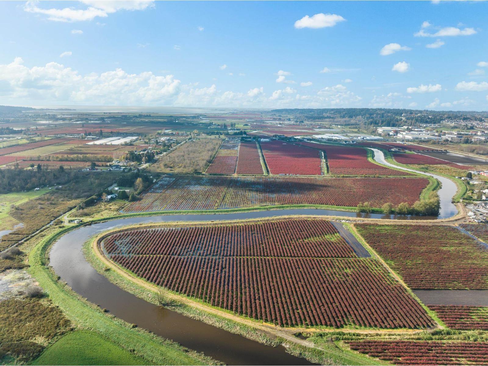 15627 48 Avenue, Surrey, BC