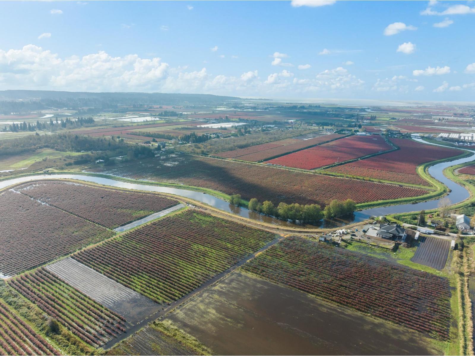 15627 48 Avenue, Surrey, BC