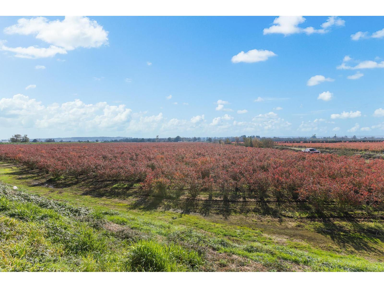 15627 48 Avenue, Surrey, BC