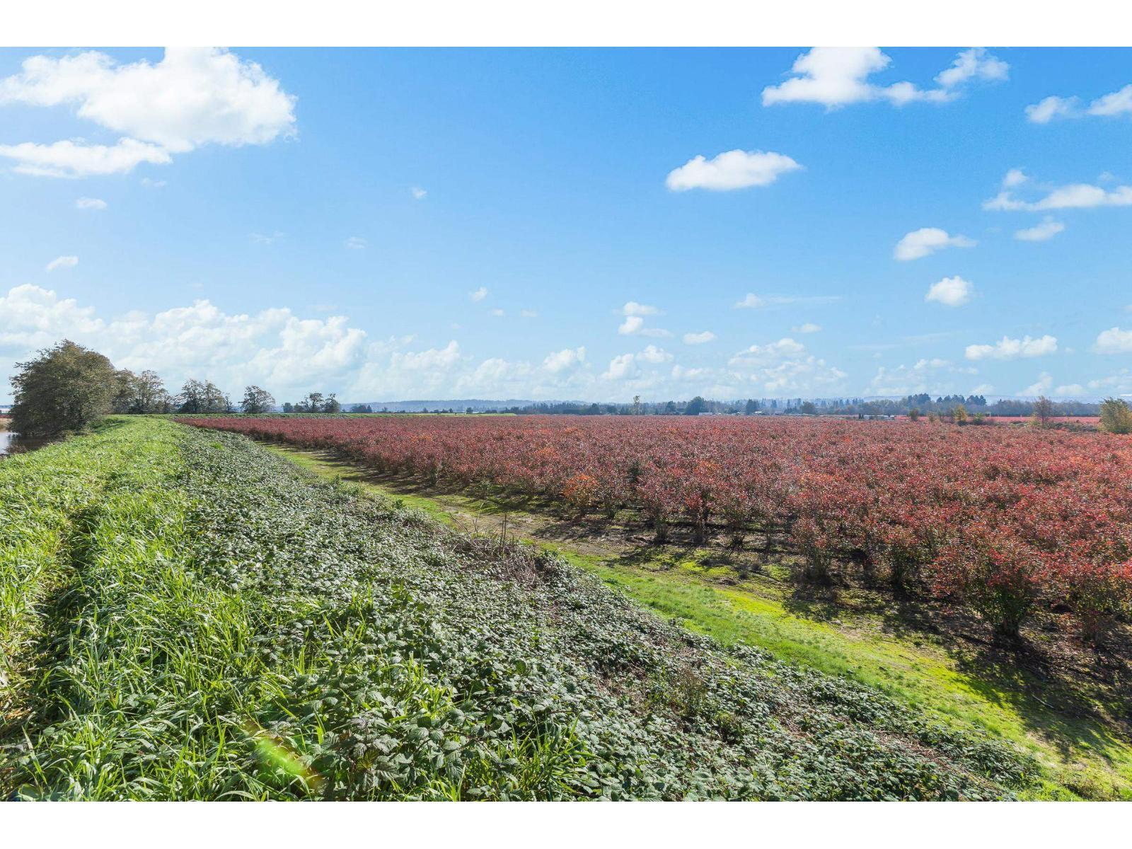 15627 48 Avenue, Surrey, BC