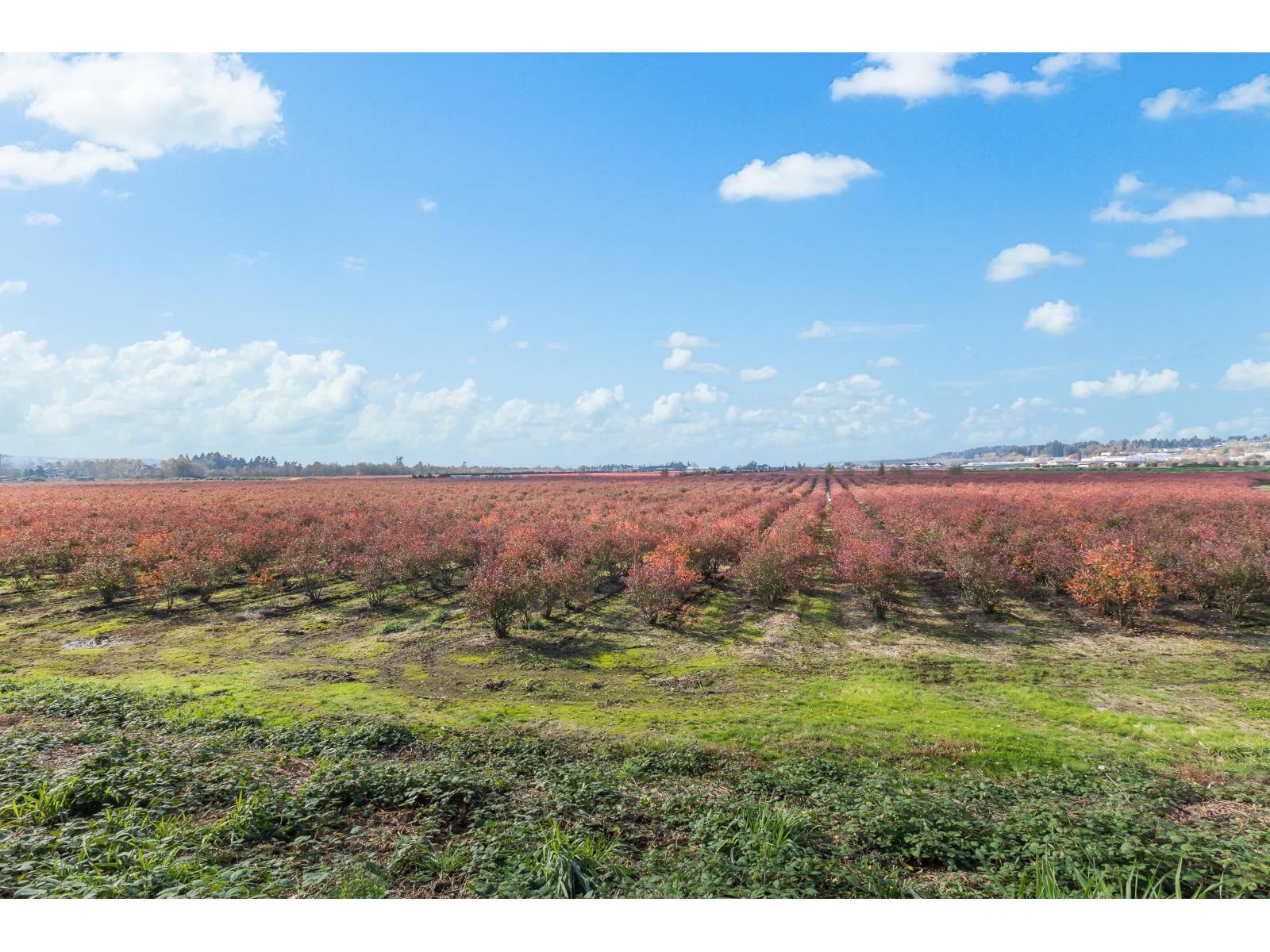 15627 48 Avenue, Surrey, BC