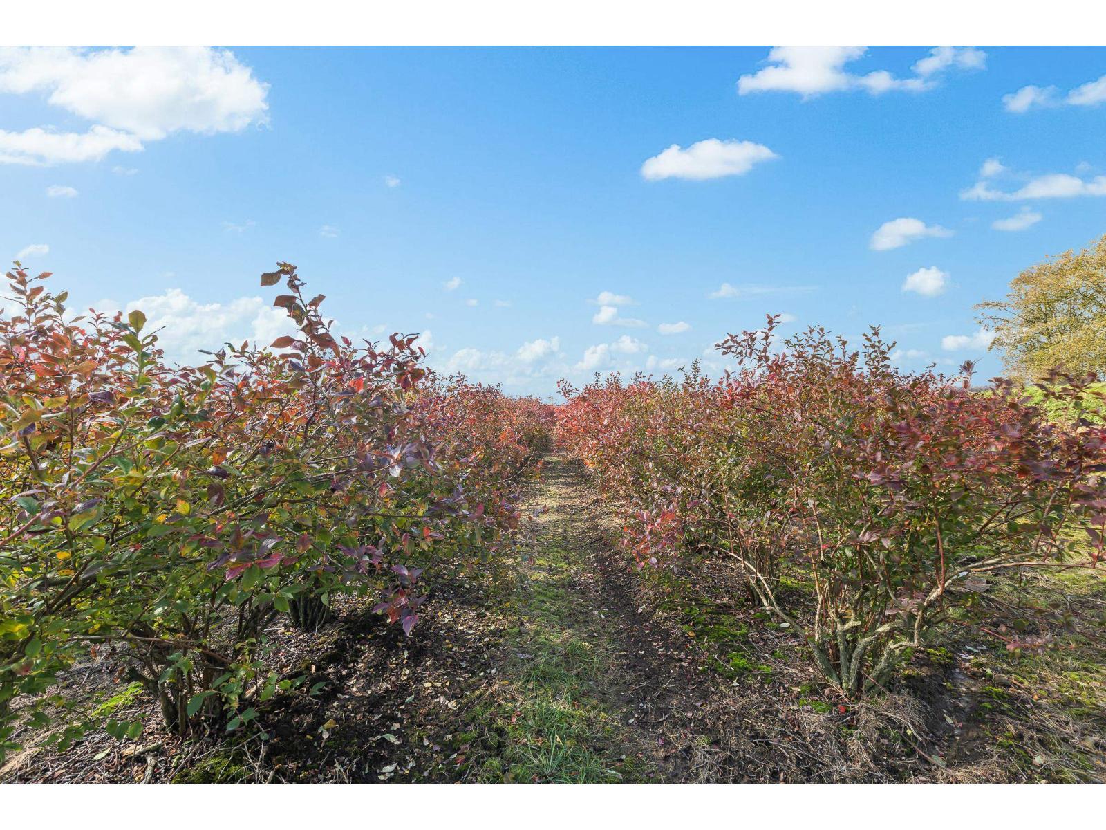 15627 48 Avenue, Surrey, BC