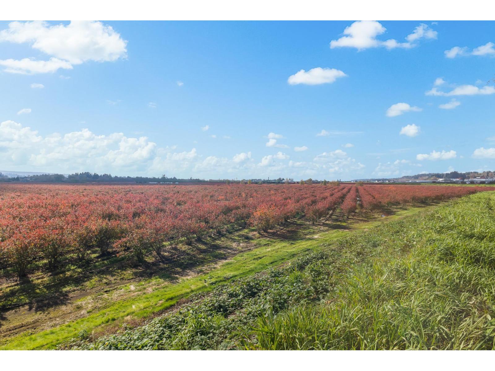 15627 48 Avenue, Surrey, BC