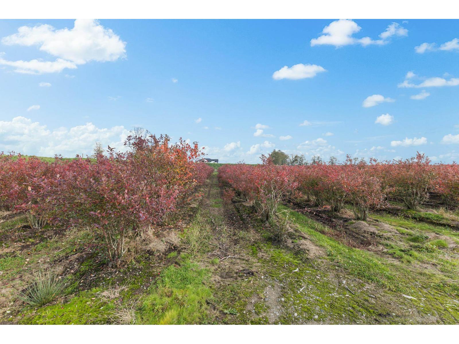 15627 48 Avenue, Surrey, BC