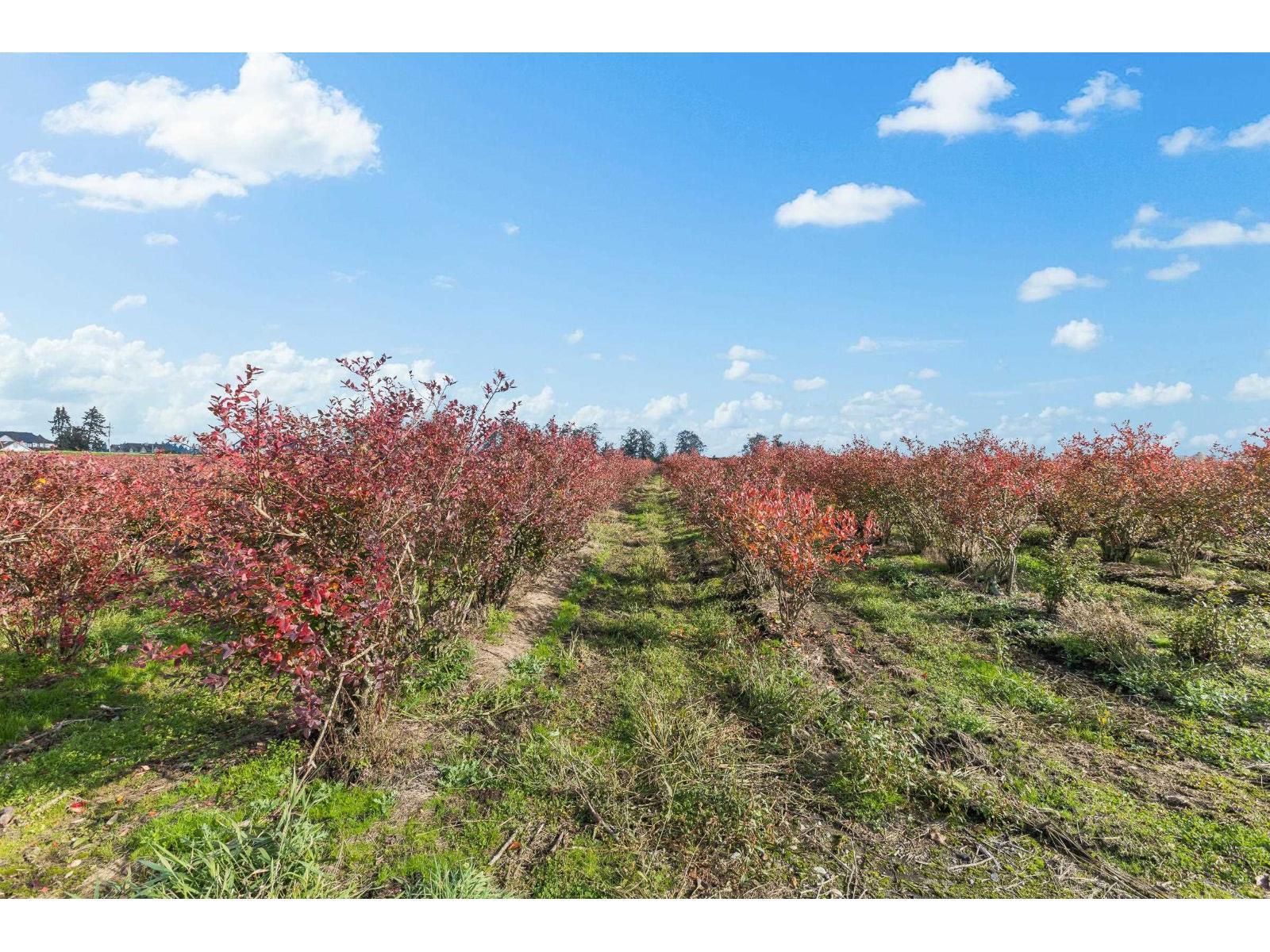 15627 48 Avenue, Surrey, BC