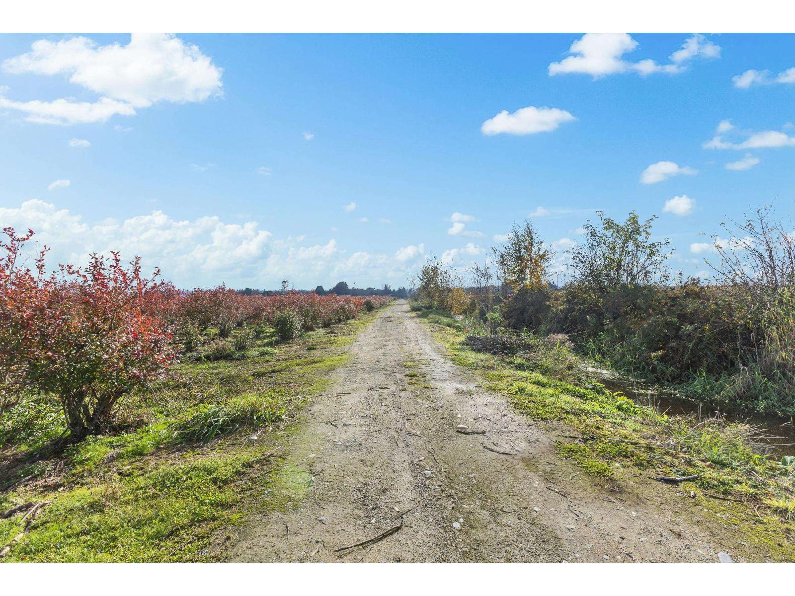 15627 48 Avenue, Surrey, BC