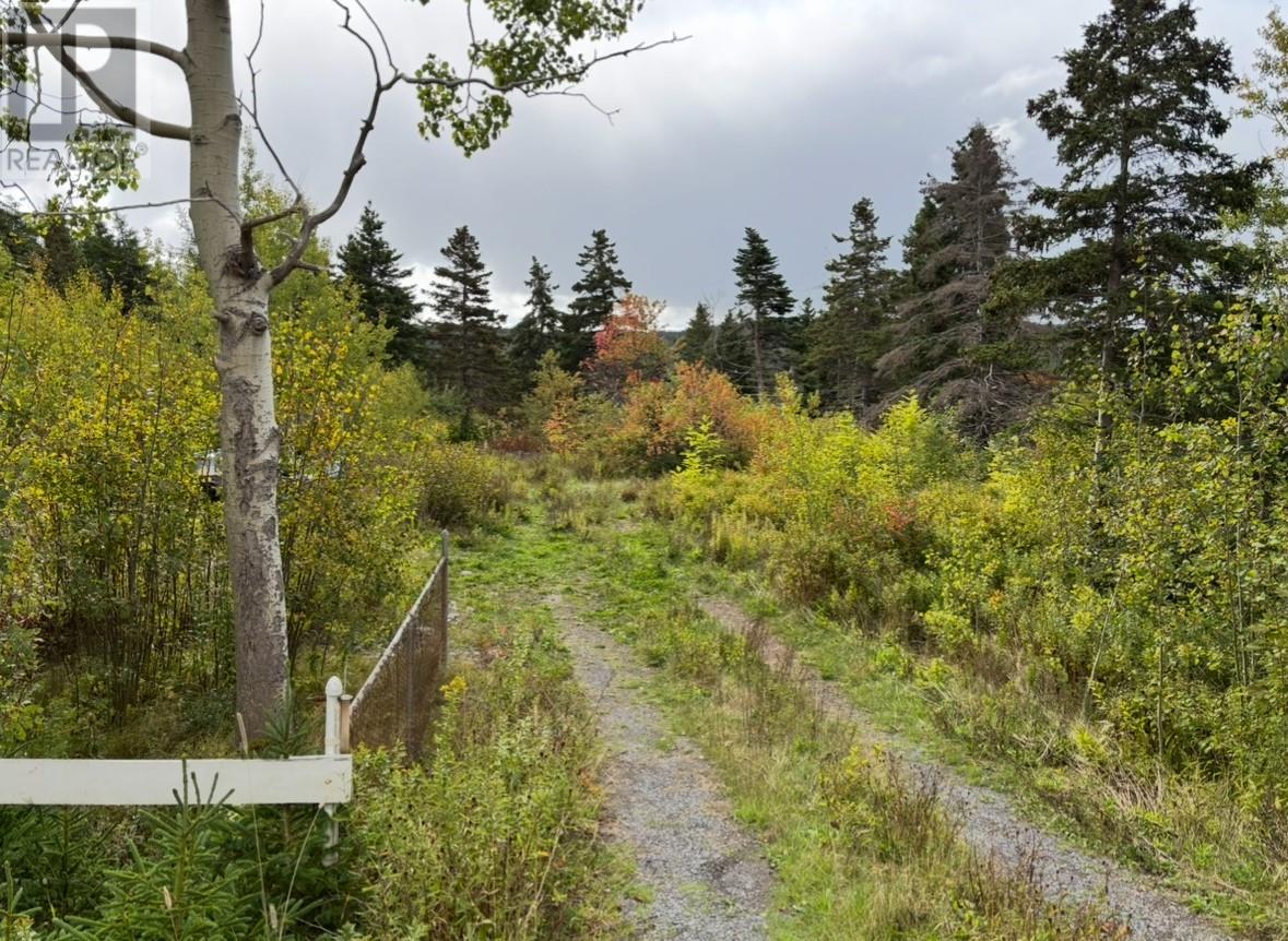 48-50 East Highway, Victoria, NL