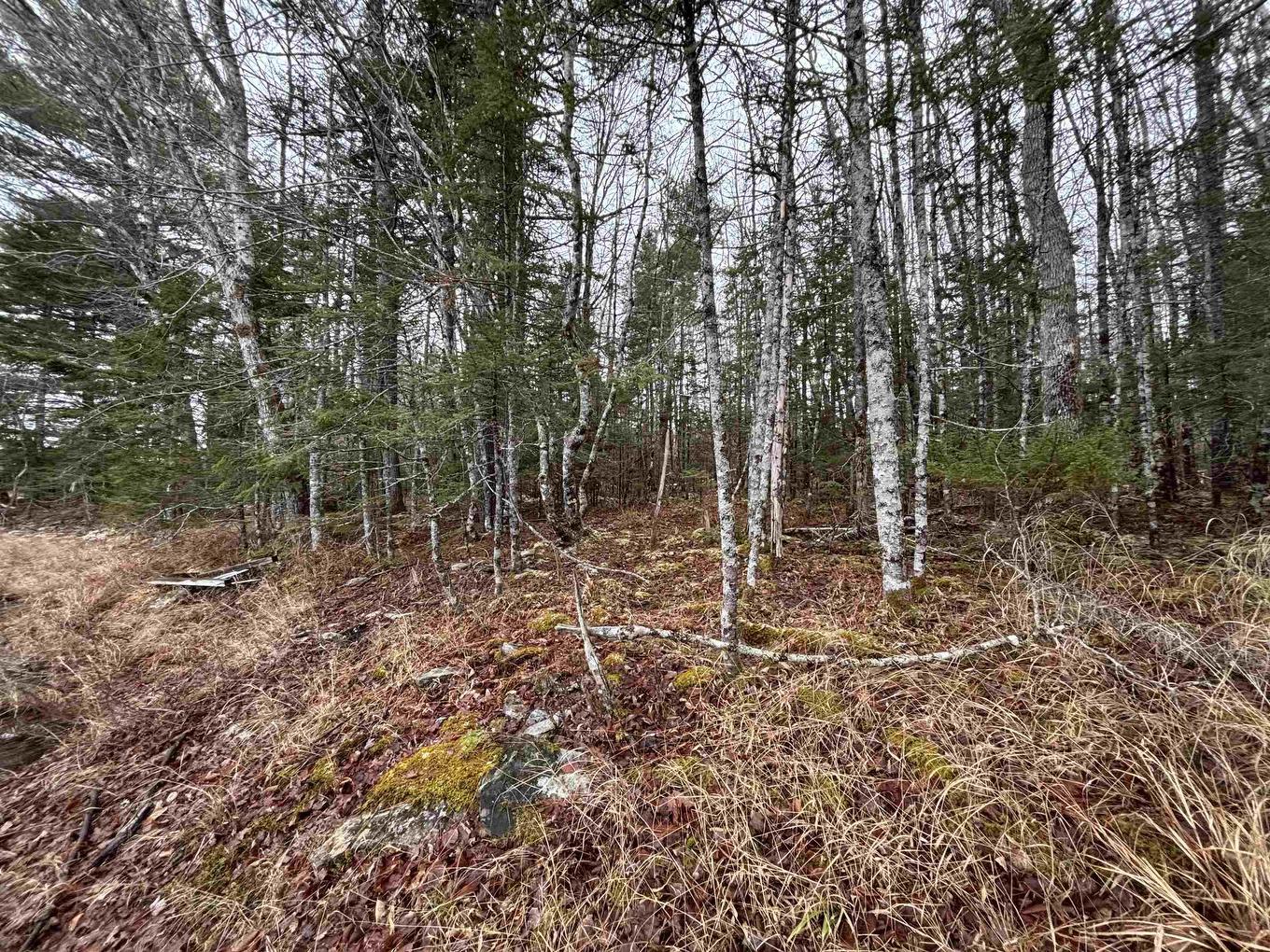 Lot 4-23 Highway 325, West Clifford, NS