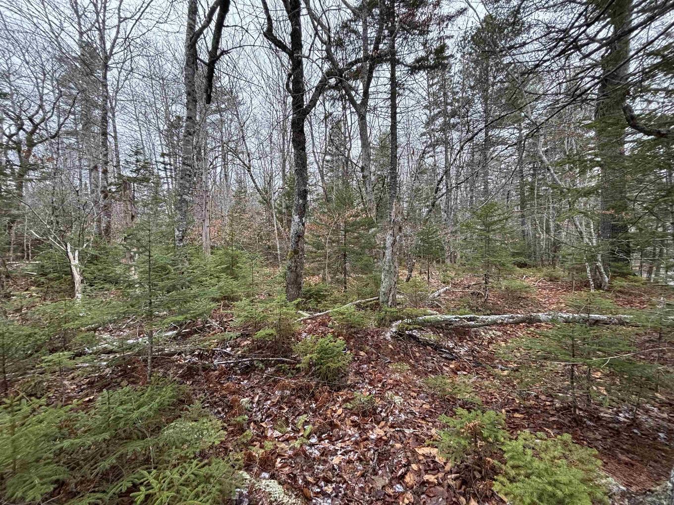 Lot 4-23 Highway 325, West Clifford, NS