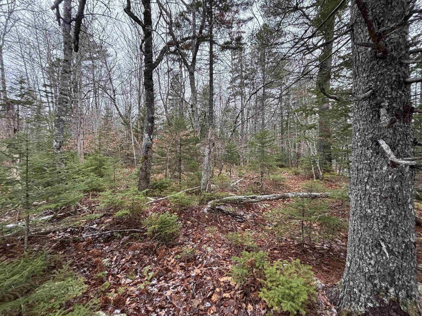 Lot 4-23 Highway 325, West Clifford, NS