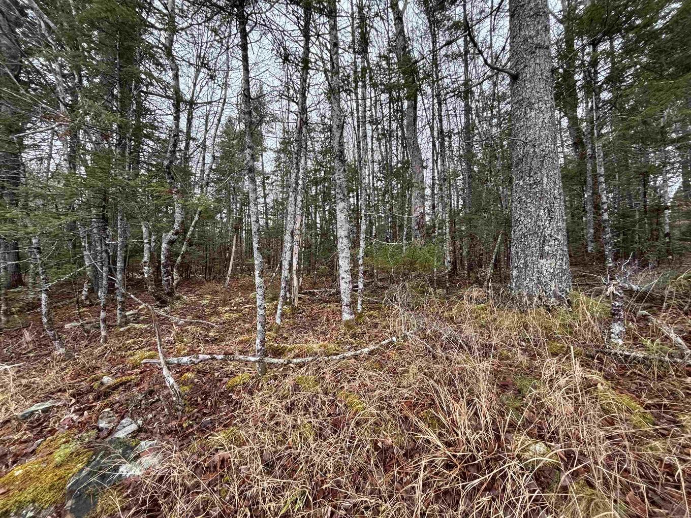 Lot 4-23 Highway 325, West Clifford, NS