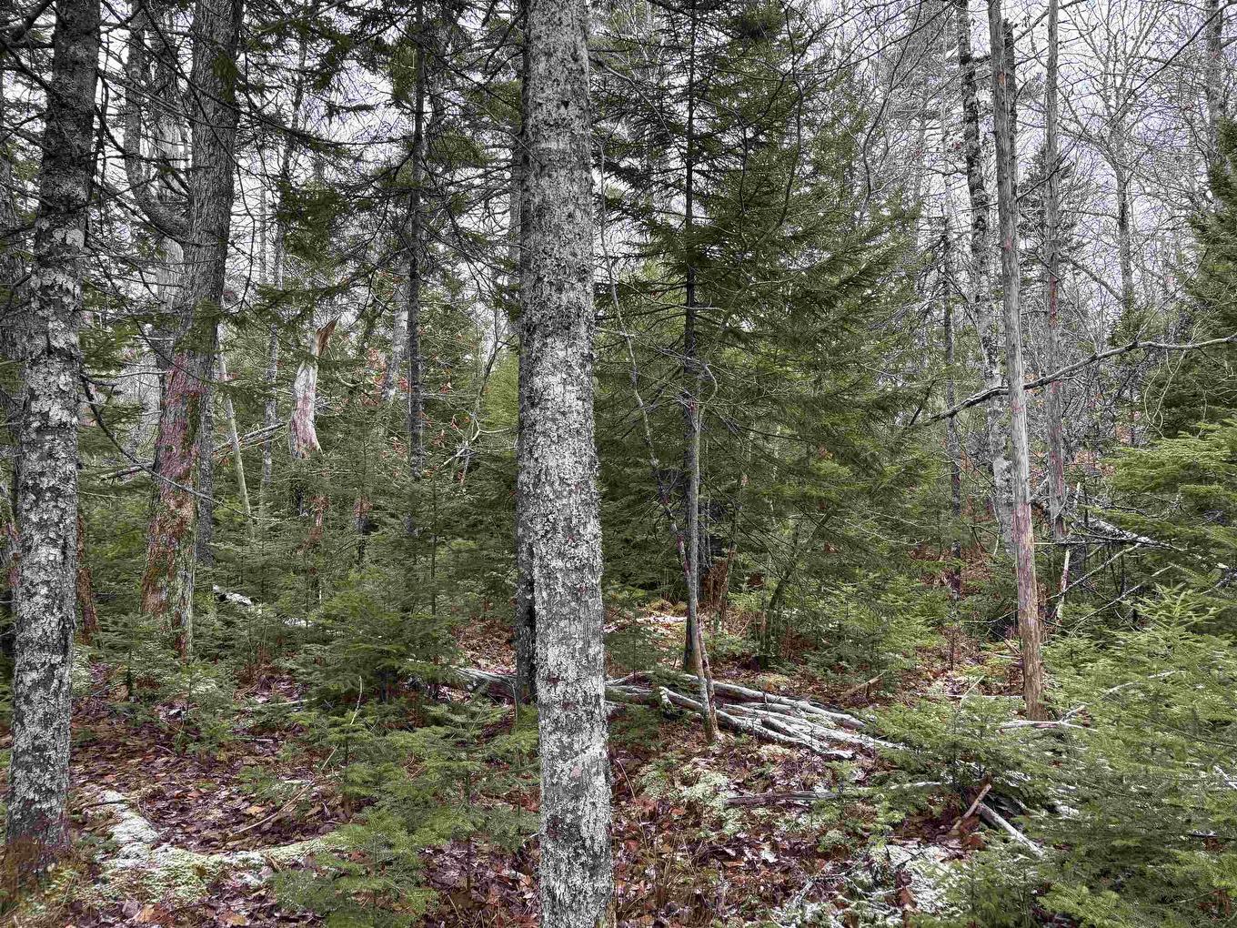 Lot 5-23 Highway 325, West Clifford, NS