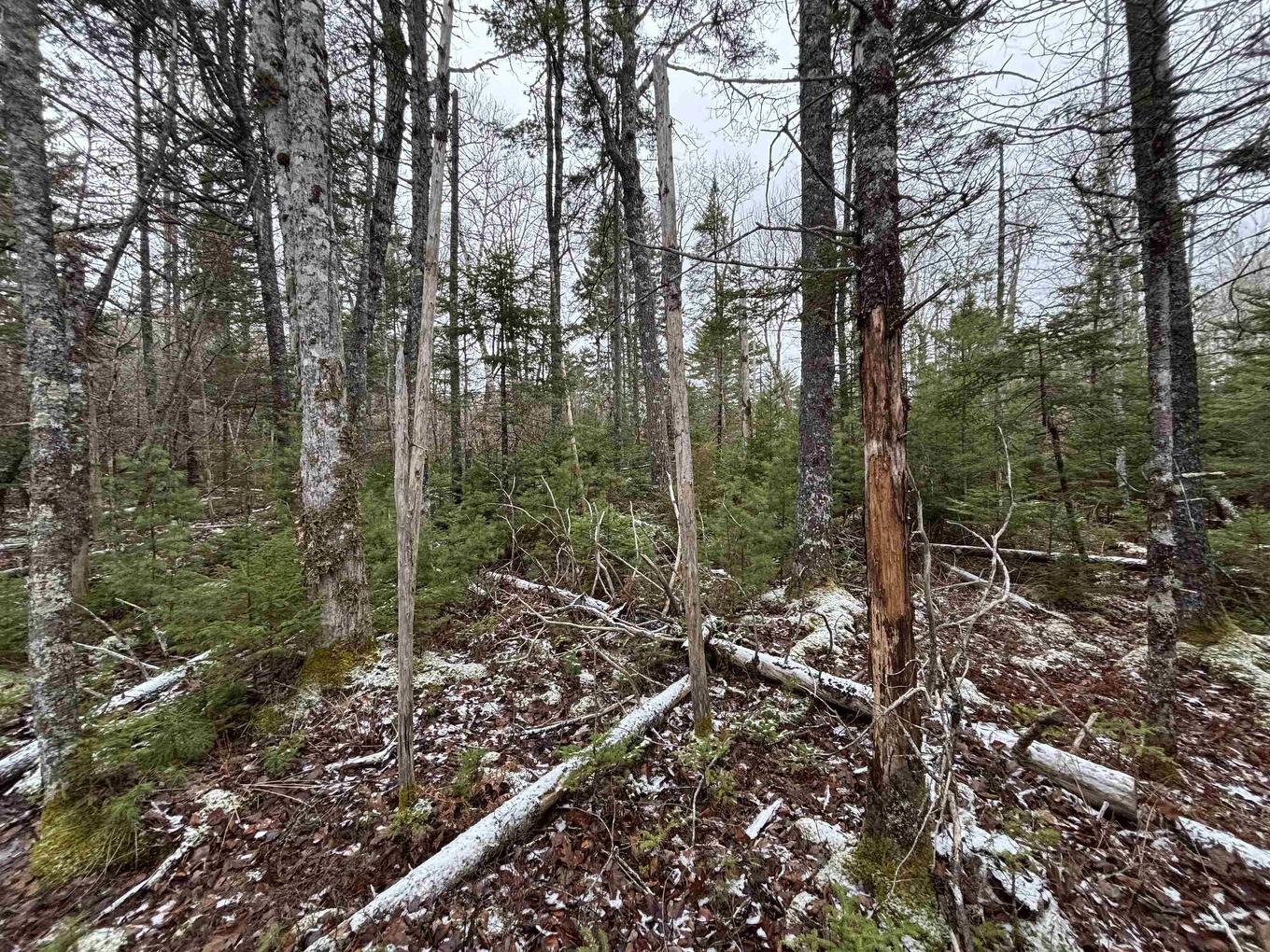 Lot 7-23 Highway 325, West Clifford, NS