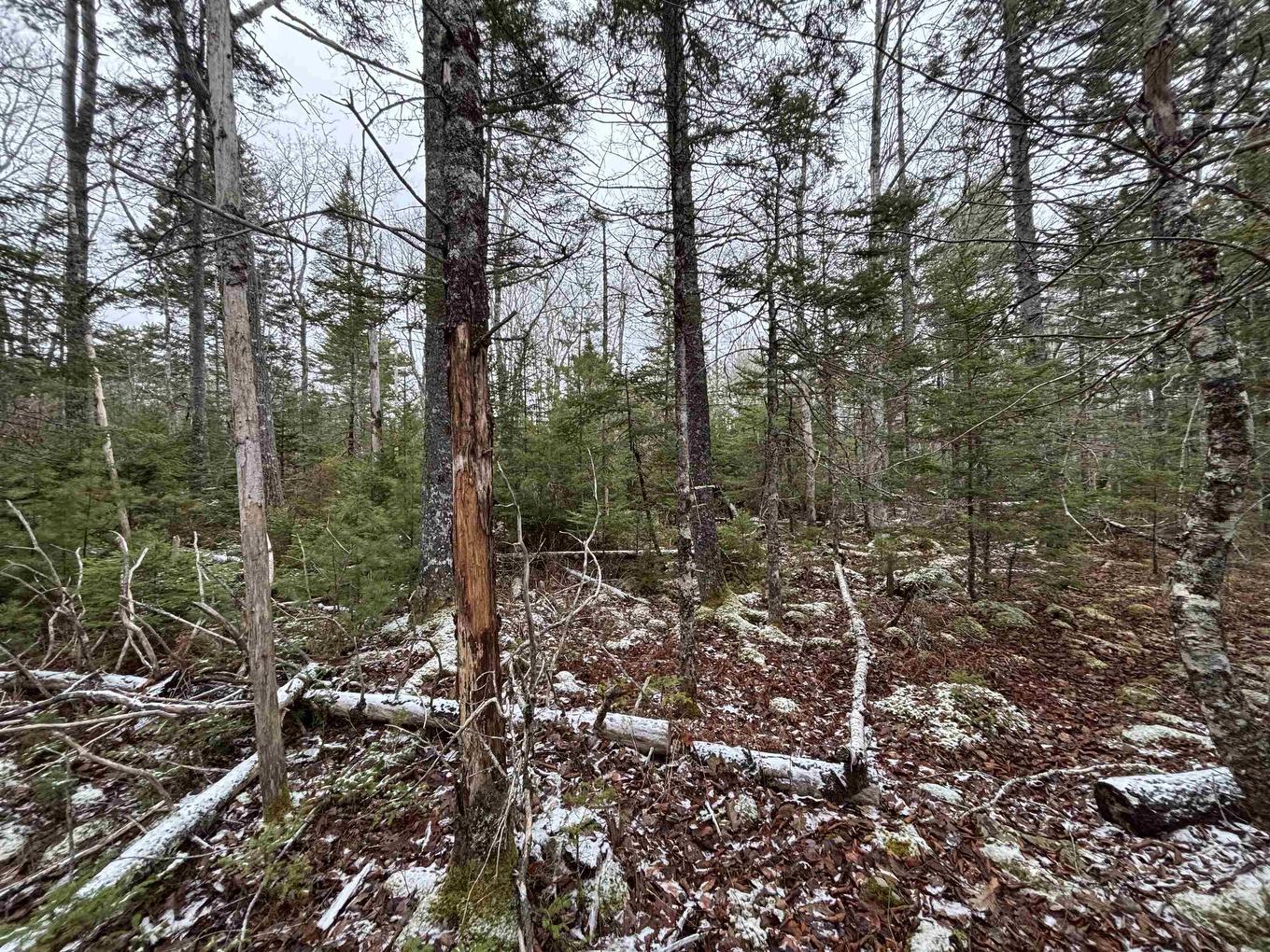 Lot 7-23 Highway 325, West Clifford, NS