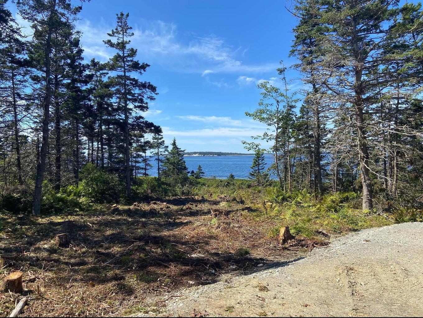 155 Mackenzies Road, East Green Harbour, NS