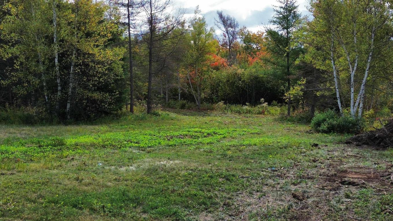 4-25 Hwy#6 Highway, Pugwash, NS