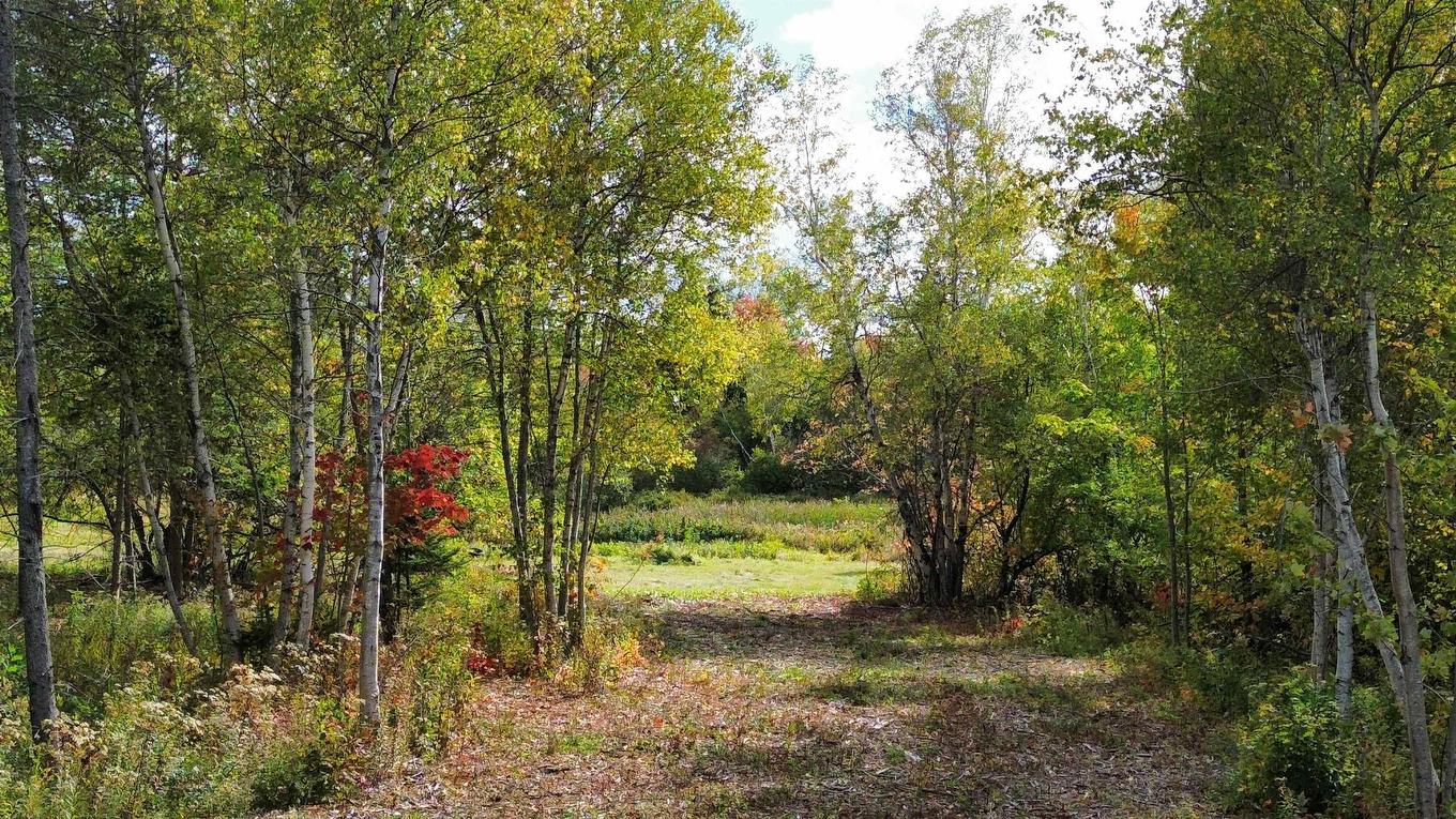 4-25 Hwy#6 Highway, Pugwash, NS