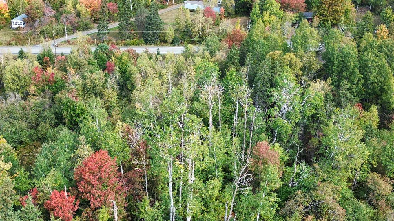 4-25 Hwy#6 Highway, Pugwash, NS