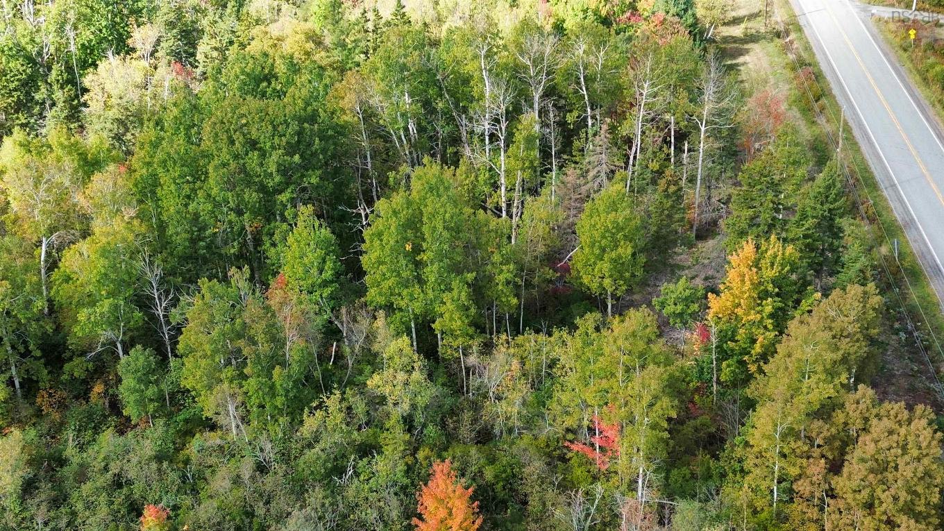 4-25 Hwy#6 Highway, Pugwash, NS