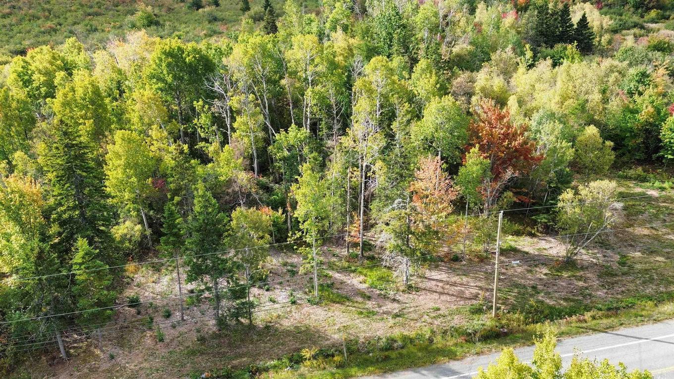 4-25 Hwy#6 Highway, Pugwash, NS