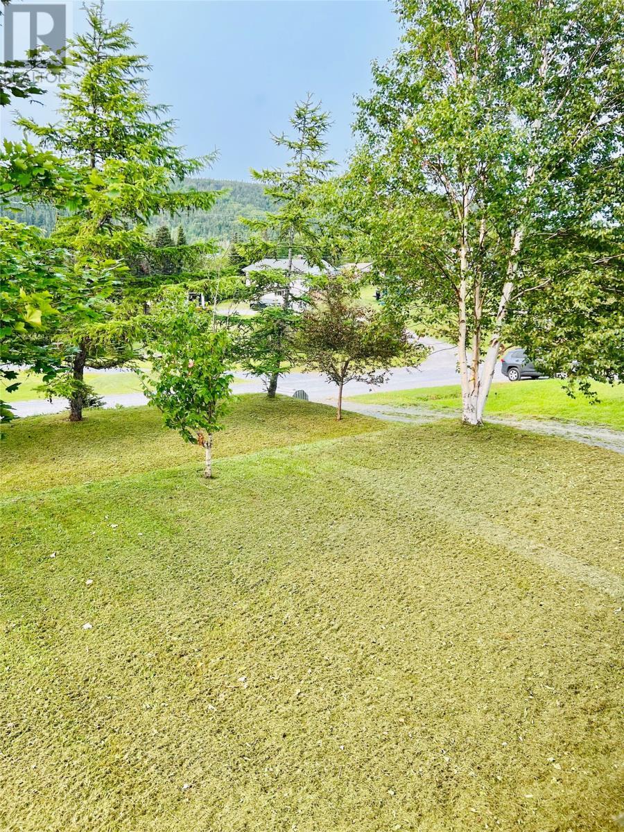 32 Park Road, Mcivers, NL - Outdoor With View