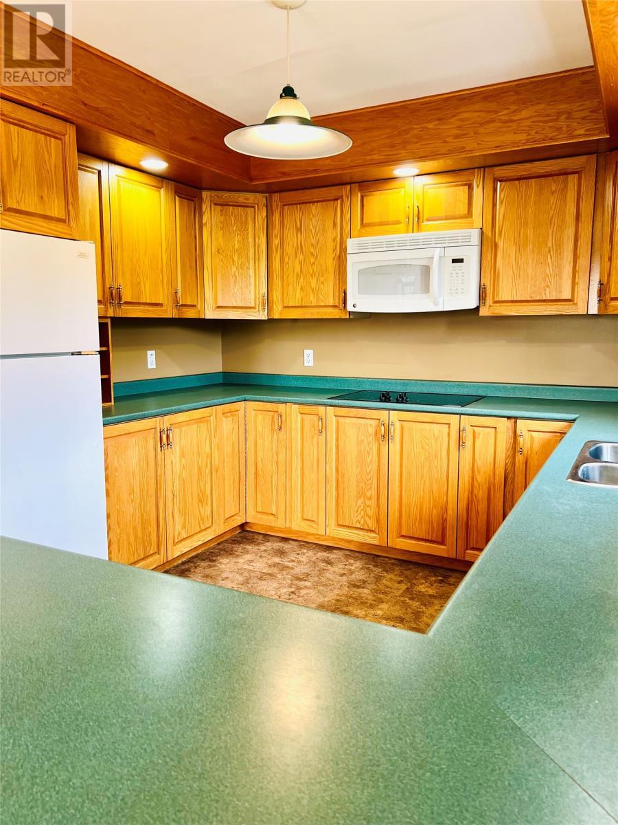 32 Park Road, Mcivers, NL - Indoor Photo Showing Kitchen With Double Sink