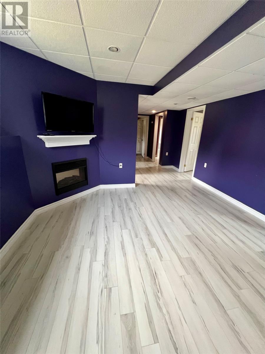 32 Park Road, Mcivers, NL - Indoor With Fireplace