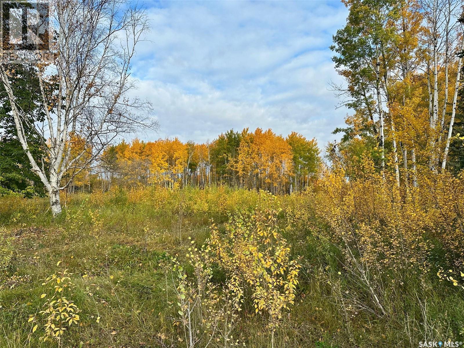 Neu Acreage, Hudson Bay, SK